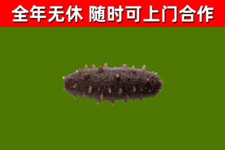 开原市烟酒回收干海参.jpg
